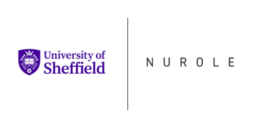 University of Sheffield
